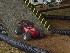 RC Jeeps